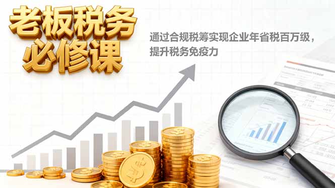 老板税务必修课，通过合规税筹实现企业年省税百万级，提升税务免疫力-百货大全