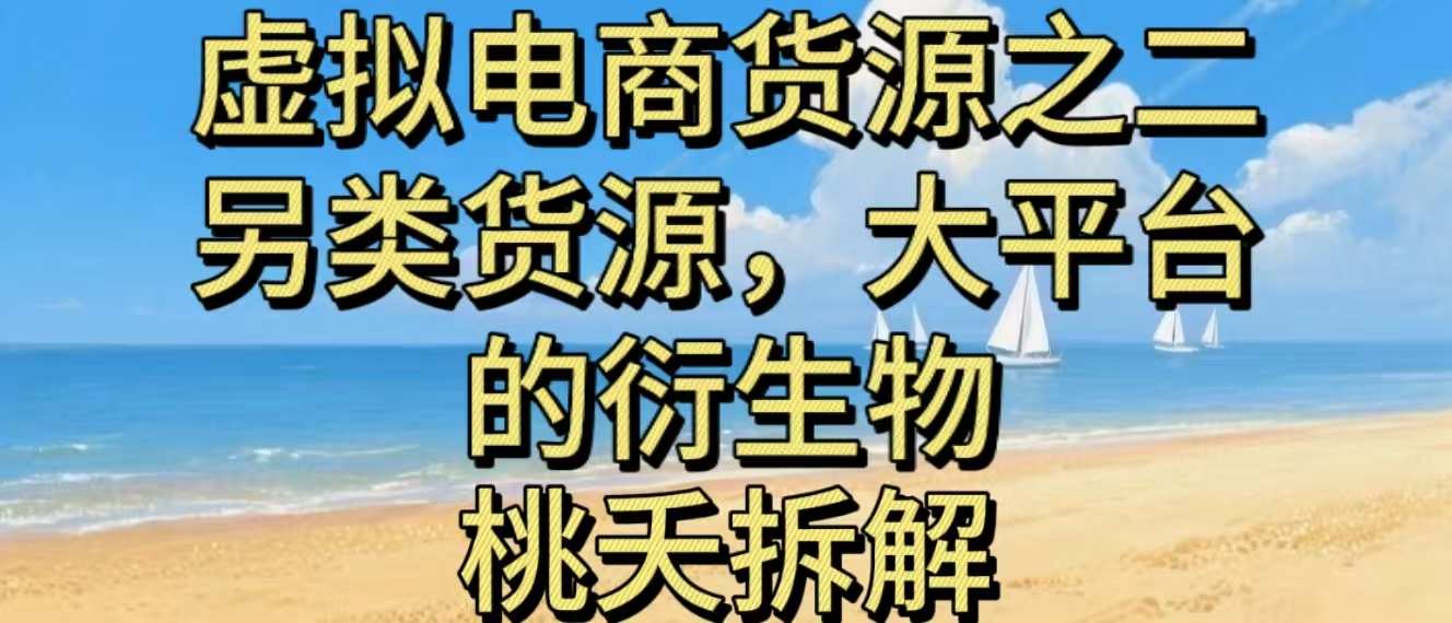 虚拟电商之二—另类的货源，大平台的衍生物-百货大全