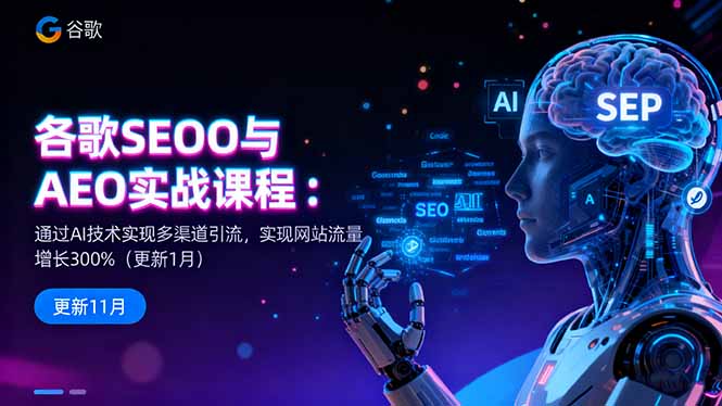 谷歌SEO与AEO实战课程：通过AI技术实现多渠道引流，实现网站流量增长300%-百货大全