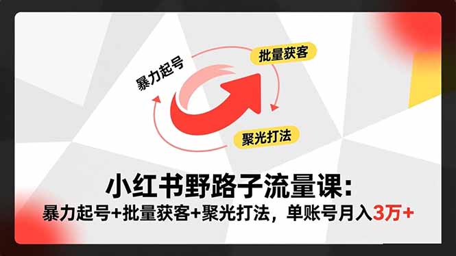 小红书野路子流量课：暴力起号+批量获客+聚光打法，单账号月入3万+-百货大全