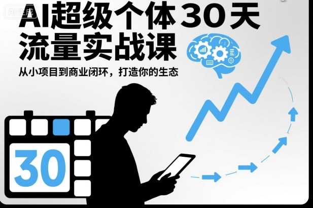 AI超级个体30天流量实战课，从小项目到商业闭环，打造你的生态-百货大全