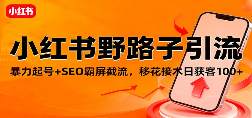 小红书野路子引流，暴力起号+SEO霸屏截流，移花接木日获客100+-百货大全