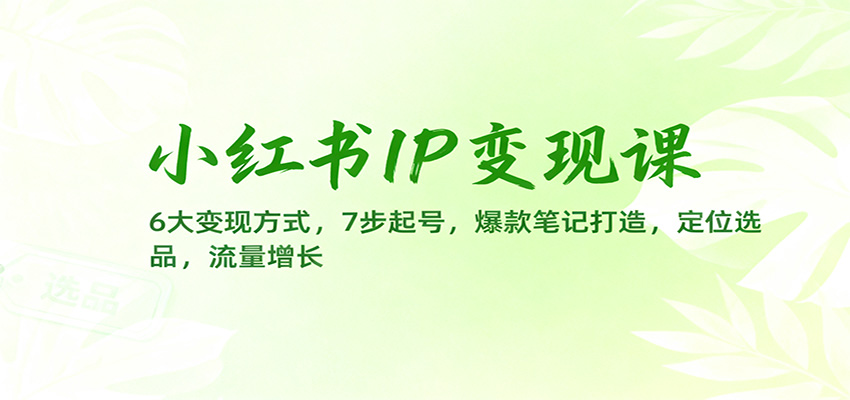 小红书IP变现课：6大变现方式，7步起号，爆款笔记打造，定位选品，流量增长-百货大全