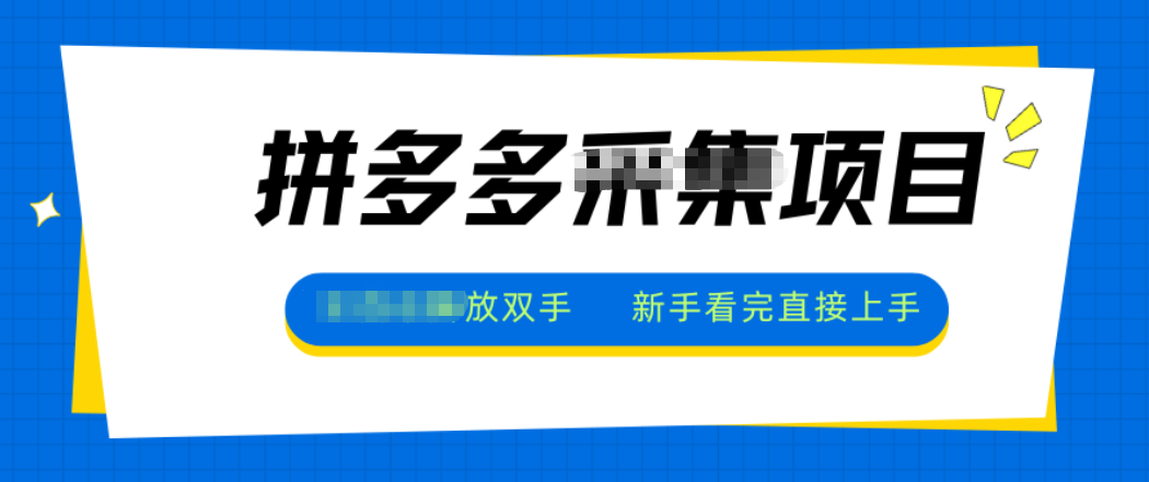拼多多电商采集，一小时50+，操作简单，零投资-百货大全
