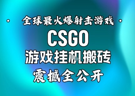 【年底大揭秘】基于全球最火爆的射击CSGO游戏挂G搬砖，日入5张+，震撼公开-百货大全