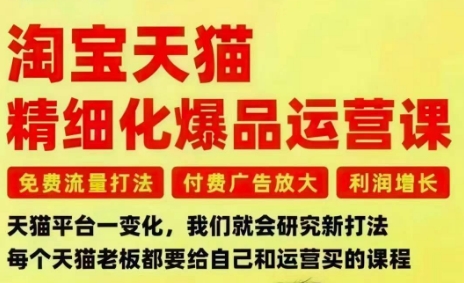 淘宝天猫精细化爆品运营课，免费流量打法-付费广告放大-利润增长-三大核心痛点，一次全部解决-百货大全