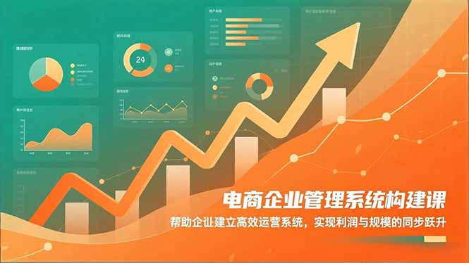 电商企业管理系统构建课：帮助企业建立高效运营系统，实现利润与规模的同步跃升-百货大全