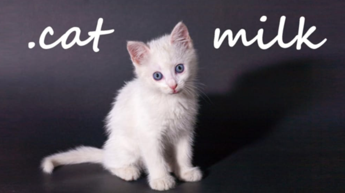 《小奶猫 .cat Milk》Switch英文版NSP下载-百货大全