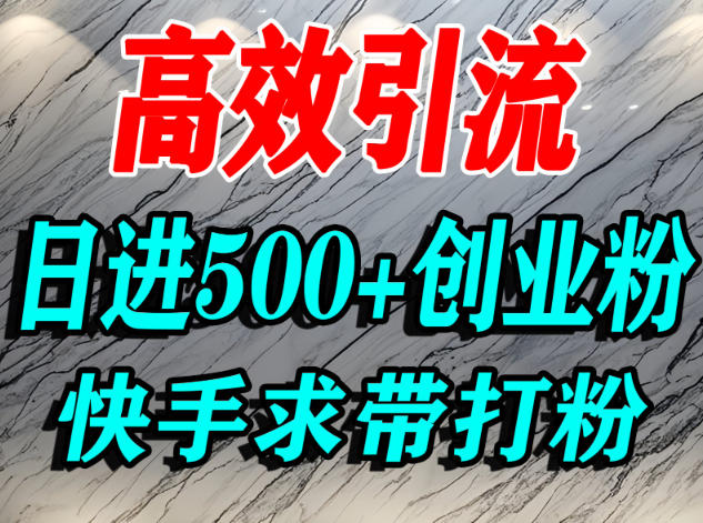 怎么打创业粉？快手求带视角精准引流创业粉，宝妈、学生群体日进500+精准流量-百货大全