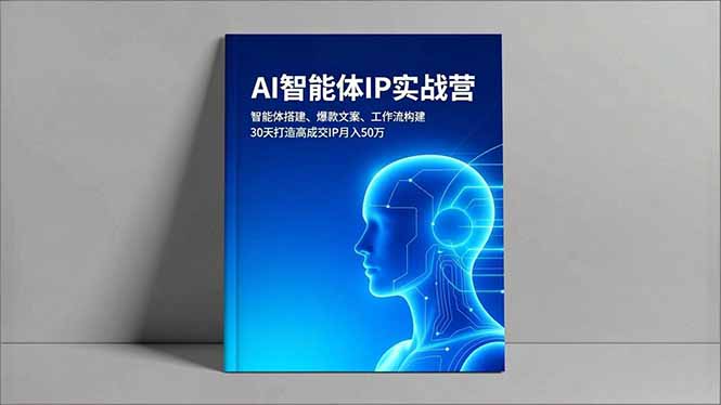 AI智能体IP实战营，智能体搭建、爆款文案、工作流构建，30天打造高成交IP月入50万-百货大全