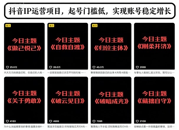 抖音IP运营项目，抖音今日主题玩法，起号门槛低，实现账号稳定增长-百货大全