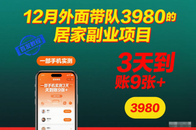 12月外面带队3980的居家副业项目，一部手机实测3天到账9张+，首发教程【揭秘】-百货大全