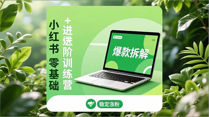 小红书零基础+高阶训练营：安全养号、爆款拆解、长效运营，实现稳定涨粉与变现-百货大全