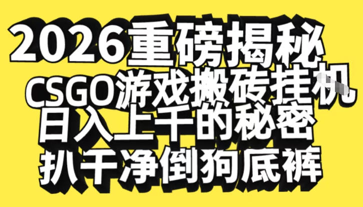 2026开年重磅解密，CSGO游戏搬砖挂G日入1k+的秘密，把倒狗的底裤扒干【揭秘】-百货大全