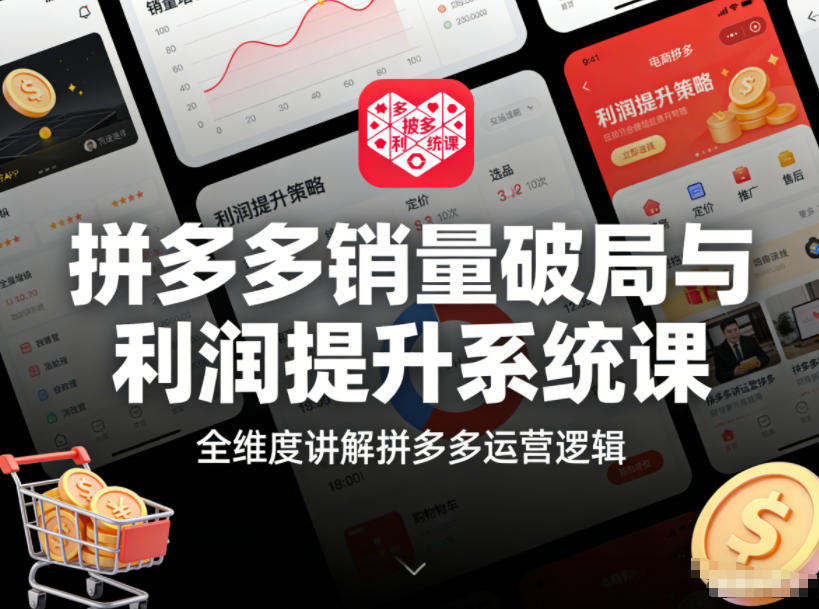拼多多销量破局与利润提升系统课，全维度讲解拼多多运营逻辑-百货大全