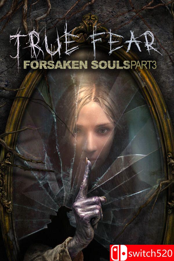 《真实恐惧：被遗弃的灵魂3（True Fear: Forsaken Souls P3）》v1.0.14 [中文/英文]-百货大全