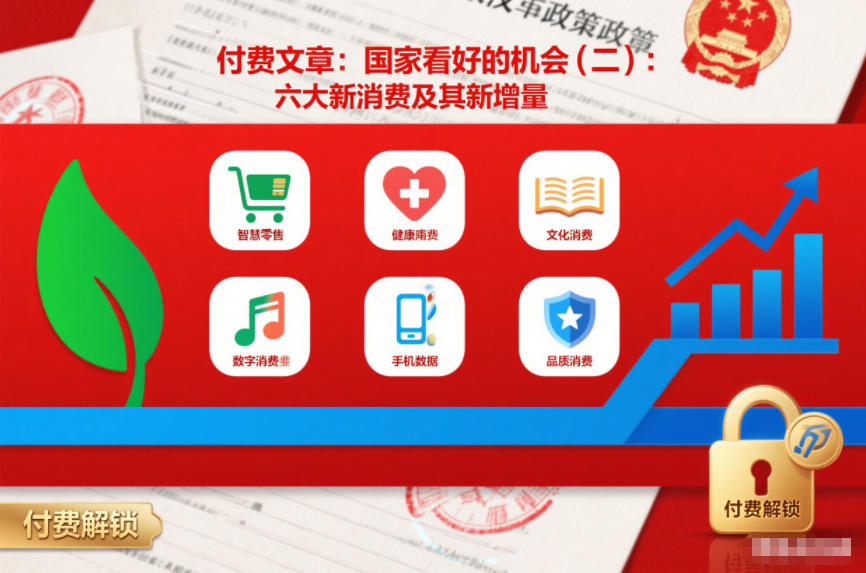 付费文章：国家看好的机会(二)：六大新消费及其新增量-百货大全