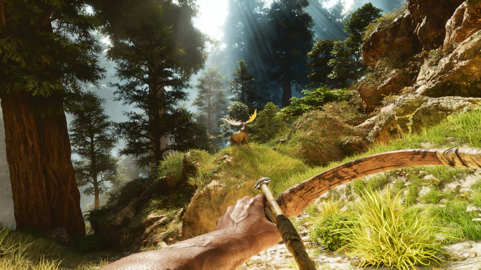 PC游戏《方舟: 生存飞升/ARK: Survival Ascended》中文v77.54下载-百货大全