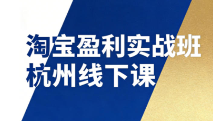 淘宝盈利实战班杭州线下课12月26-28日(音频+字幕)，帮你掌握SOP流程+12门核心技术-百货大全