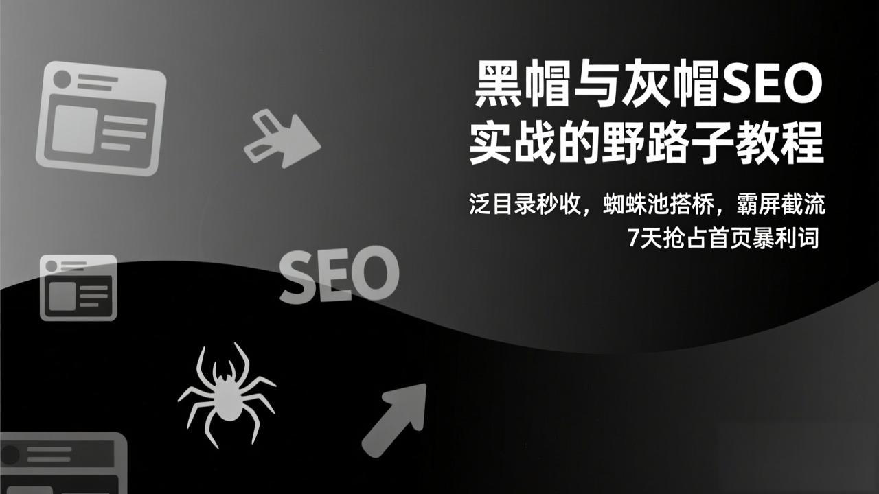 黑帽与灰帽SEO实战的野路子教程：泛目录秒收，蜘蛛池搭桥，霸屏截流，7天抢占首页暴利词-百货大全
