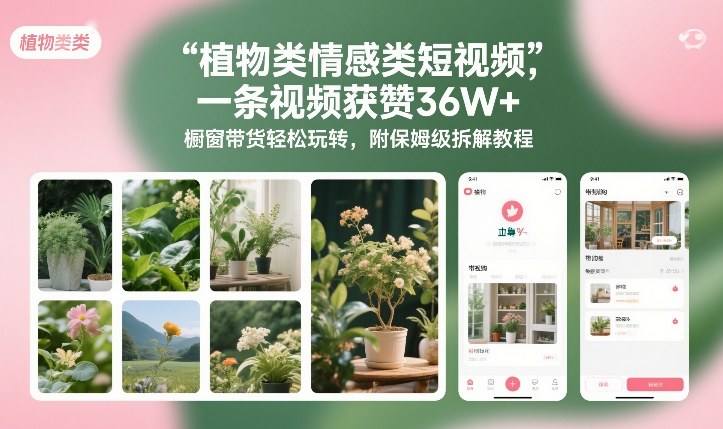 植物类情感类短视频，一条视频获赞36W+，橱窗带货轻松玩转，附保姆级拆解教程-百货大全
