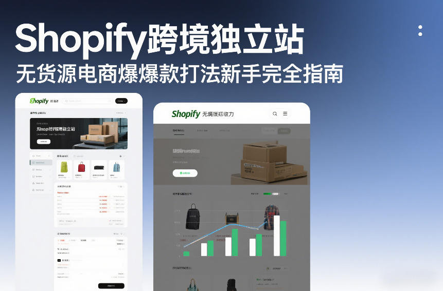 Shopify跨境独立站无货源电商爆款打法新手完全指南-百货大全