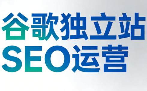 谷歌独立站SEO运营(更新2026)-百货大全