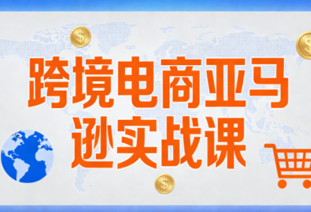 丝丝老师·跨境电商亚马逊实战课(更新2月)-百货大全