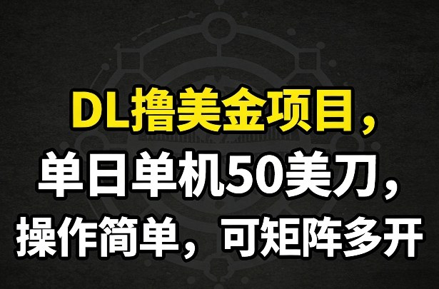 DL撸美金项目，单日单机50美刀，操作简单，可矩阵多开-百货大全