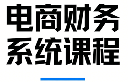 郑老师·电商财务系统课程-百货大全