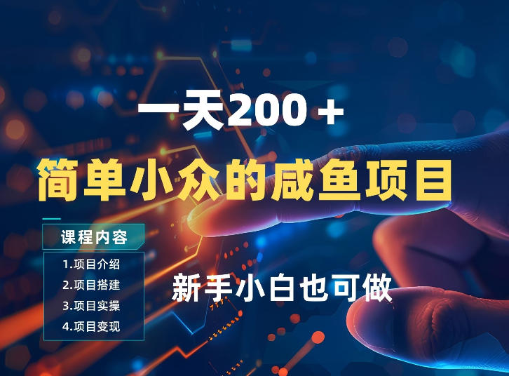 一天收入2张，一个简单小众的咸鱼项目，0门槛小白也能做-百货大全