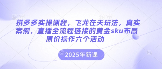 拼多多实操课程，飞龙在天玩法，真实案例，直播全流程链接的黄金sku布局原价操作六个活动-百货大全