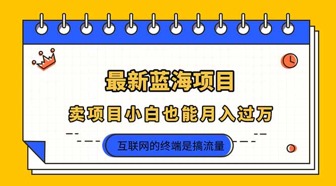 2025年最新蓝海项目，卖项目小白也能月入过万-百货大全