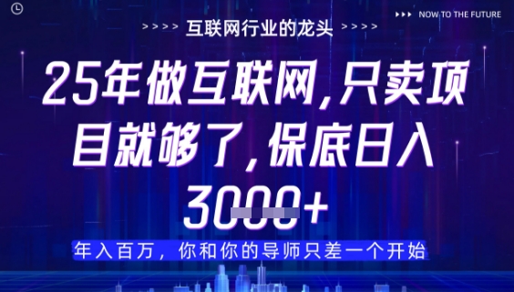 什么！25年你还在找项目做？风口早就变了，卖项目才是稳挣不赔【揭秘】-百货大全