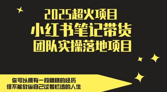 2025超火项目，副业最佳选择，小红书笔记带货团队实操落地项目，，轻松日入5张-百货大全