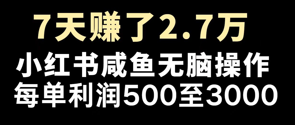 最赚钱项目之一，2025爆火，逆风翻盘！-百货大全