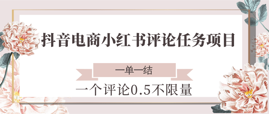 抖音电商小红书评论任务项目，一个评论0.5，一单一结 不限量-百货大全