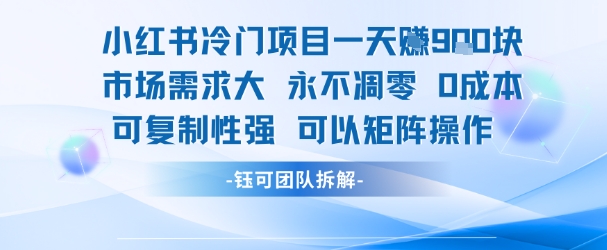 小红书冷门项目一天收益9张，市场需求大，0成本，可复制性强可以矩阵操作-百货大全