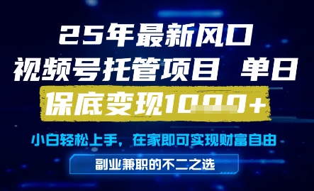 25年最新风口，视频号托管项目，单日保底变现1k+，手把手教学【揭秘】-百货大全