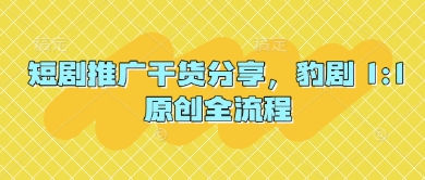 短剧推广干货分享，豹剧 1:1原创全流程-百货大全