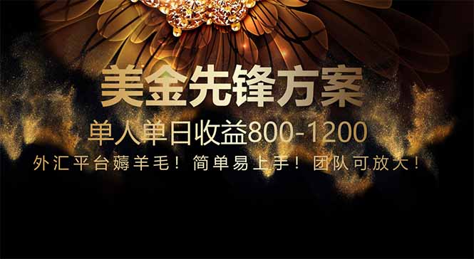 免费技术！小众赛道！一年布局抵三年努力，每日800+-百货大全