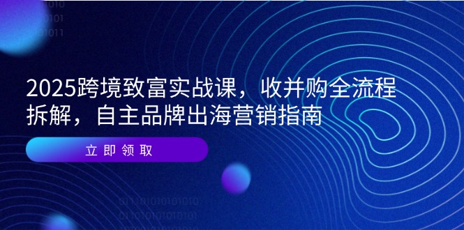 2025跨境致富实战课，收并购全流程拆解，自主品牌出海营销指南-百货大全