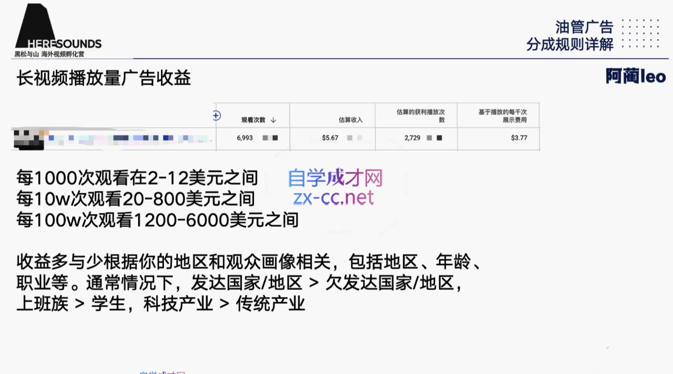 阿蔺Leo·跨境油管视频YouTube实训营(更新2025)-百货大全