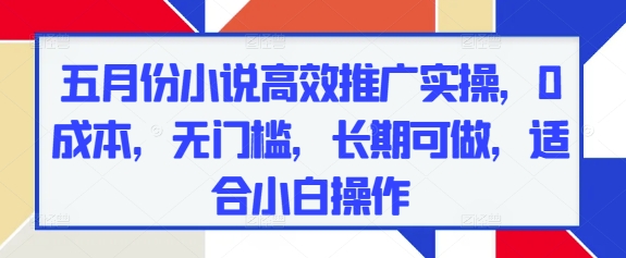 五月份小说高效推广实操，0成本，无门槛，长期可做，适合小白操作-百货大全