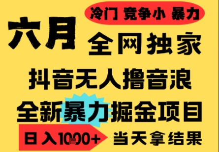 25年6月高爆抖音无人直播最新撸音浪掘金项目，小白可做，无脑日入1k+，门槛低可批量矩阵【揭秘】-百货大全