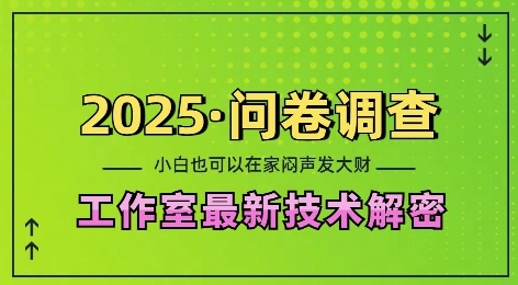 2025问卷调查最新工作室技术解密：一个人在家也可以闷声发大财，小白一天2张，可矩阵放大【揭秘】-百货大全