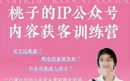 桃子IP公众号内容获客训练营(第3期)，一门让你公众号从0到商业闭环的课程-百货大全