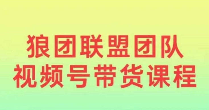 狼团联盟2024视频号带货，0基础小白快速入局视频号-百货大全