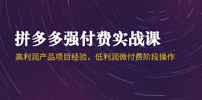 拼多多强付费实战课-44期，高利润产品项目经验，低利润微付费阶段操作-百货大全