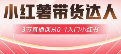 小红薯达人带货启航计划，3节直播课从0-1入门小红书-百货大全